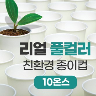 ����Ǯ�÷� ģȯ�� ������ 10�½�