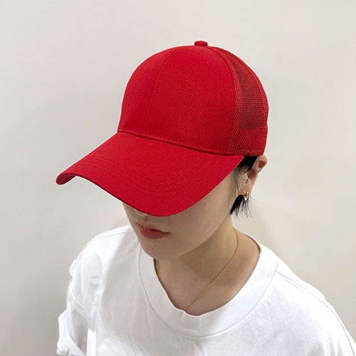 NSCAP NS ������� 1745