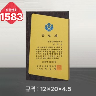 �Ϲ� ���� 1583