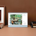 Ź��޷� ��ȥ�� ���� 260x190 �ܹ�