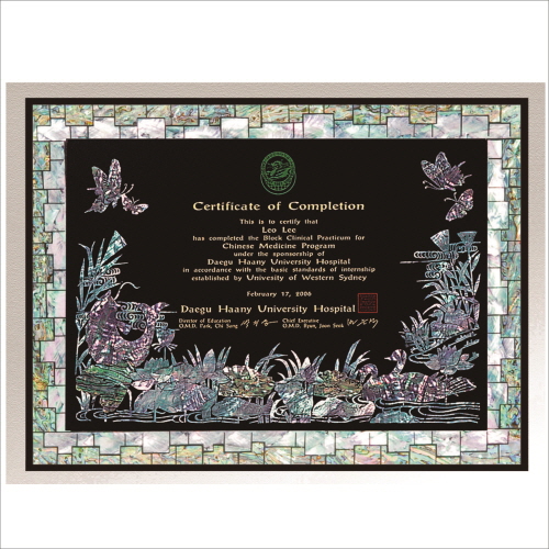 õ�� ���� �ڰ��� 5